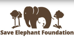 Save Elephant Foundation